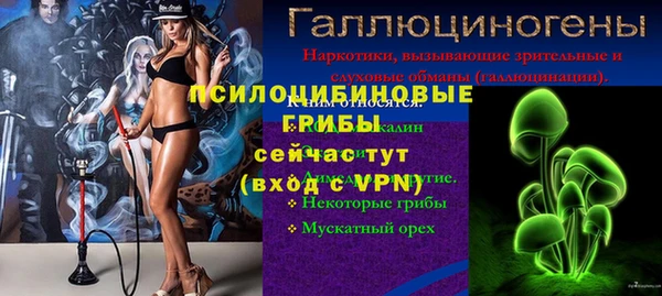 дживик Лихославль