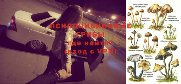 дживик Лихославль
