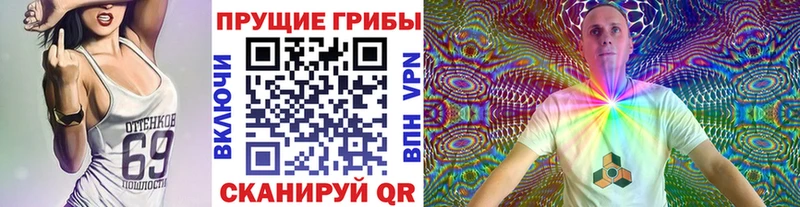 Псилоцибиновые грибы Psilocybine cubensis  Купить где  Верея 